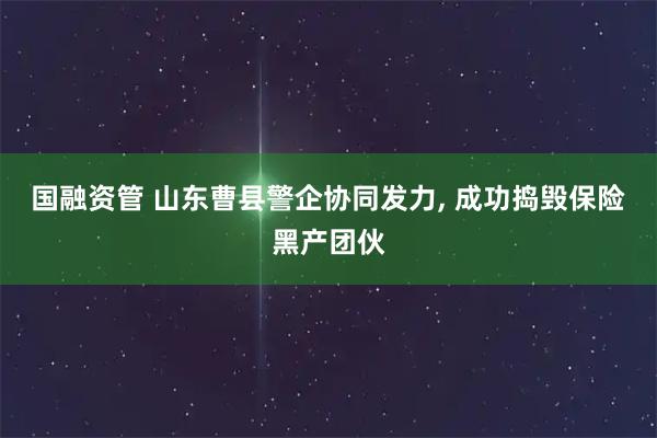 国融资管 山东曹县警企协同发力, 成功捣毁保险黑产团伙