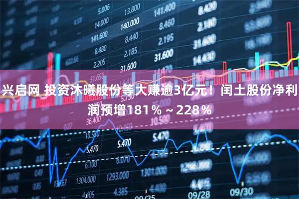 兴启网 投资沐曦股份等大赚逾3亿元！闰土股份净利润预增181％～228％