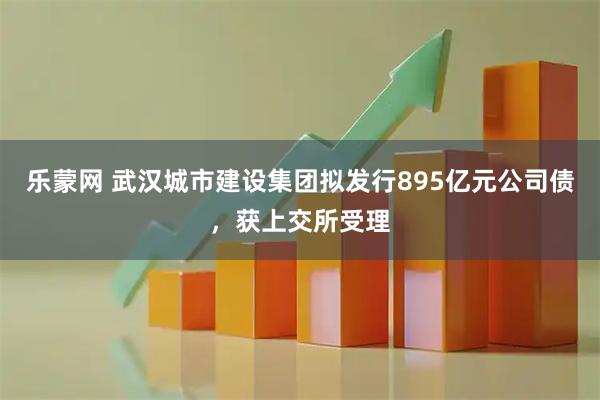 乐蒙网 武汉城市建设集团拟发行895亿元公司债，获上交所受理